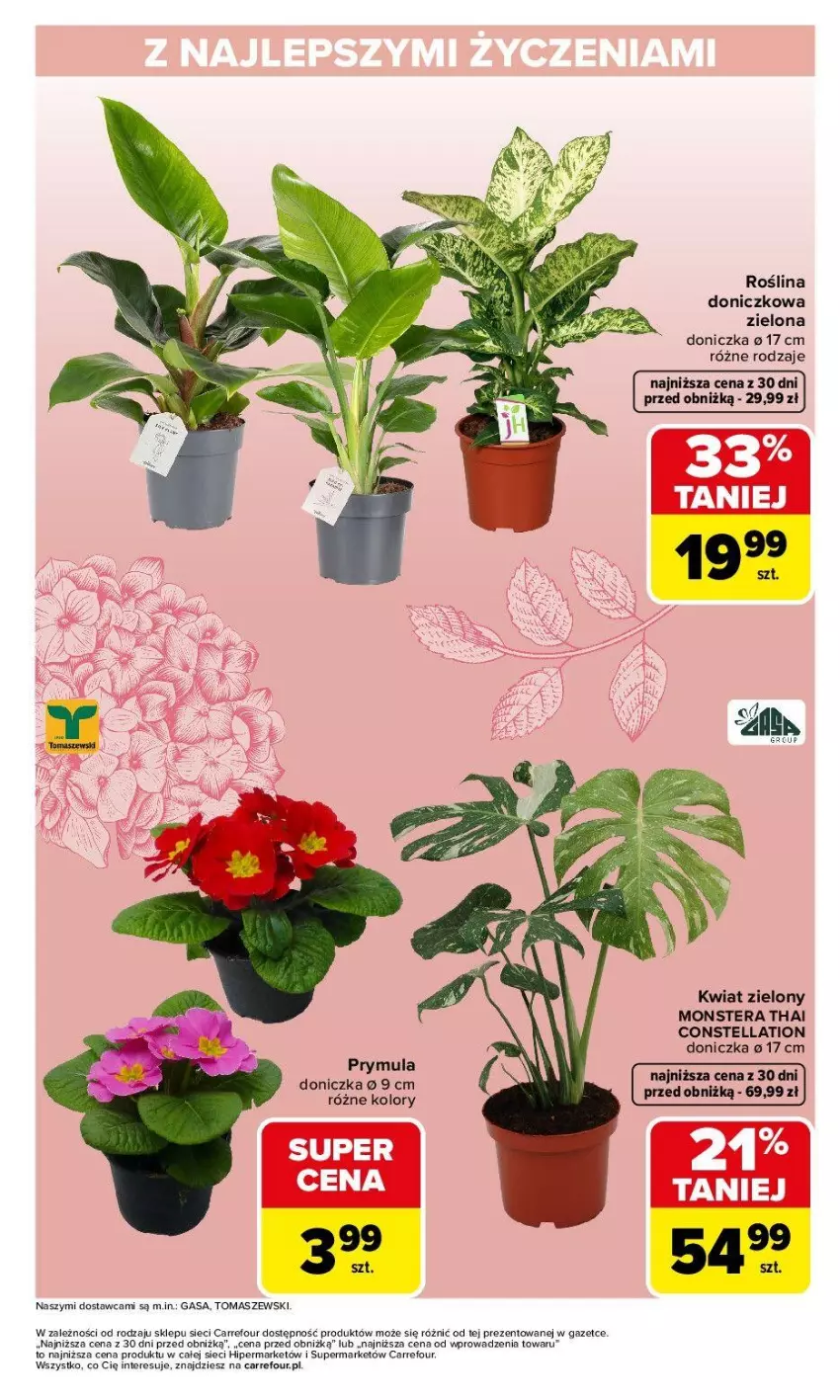 Gazetka promocyjna Carrefour - Gazetka Dzień Kobiet - ważna 02.03 do 07.03.2026 - strona 3 - produkty: Gaga, Prymula, Tera