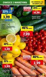 Gazetka promocyjna Lidl - GAZETKA - Gazetka - ważna od 03.02 do 03.02.2024 - strona 19 - produkty: Warzywa, Sałata lodowa, Cytryny, Sałat, Owoce, Olej, Pomidory, Szpinak