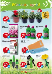 Gazetka promocyjna Prim Market - Gazetka - Gazetka - ważna od 19.05 do 19.05.2021 - strona 14 - produkty: Sok, Koc, Surf, LANA, Podkładka, Storczyk, Pistolet, Nawóz, Podkład, Fa