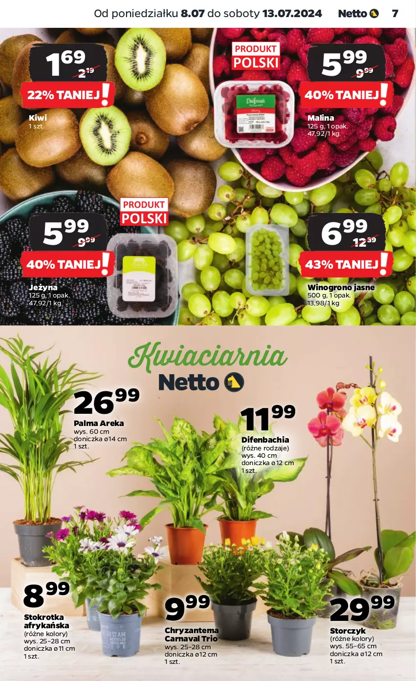 Gazetka promocyjna Netto - Od Poniedziałku - ważna 08.07 do 13.07.2024 - strona 7 - produkty: Chia, Chryzantema, Kiwi, NBA, Palma, Storczyk, Wino