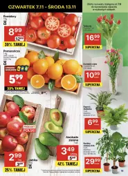 Gazetka promocyjna Delikatesy Centrum - NOWA GAZETKA Delikatesy Centrum od 7 listopada! 7-13.11.2024 - Gazetka - ważna od 13.11 do 13.11.2024 - strona 19 - produkty: Por, Pomarańcze, Pomidory