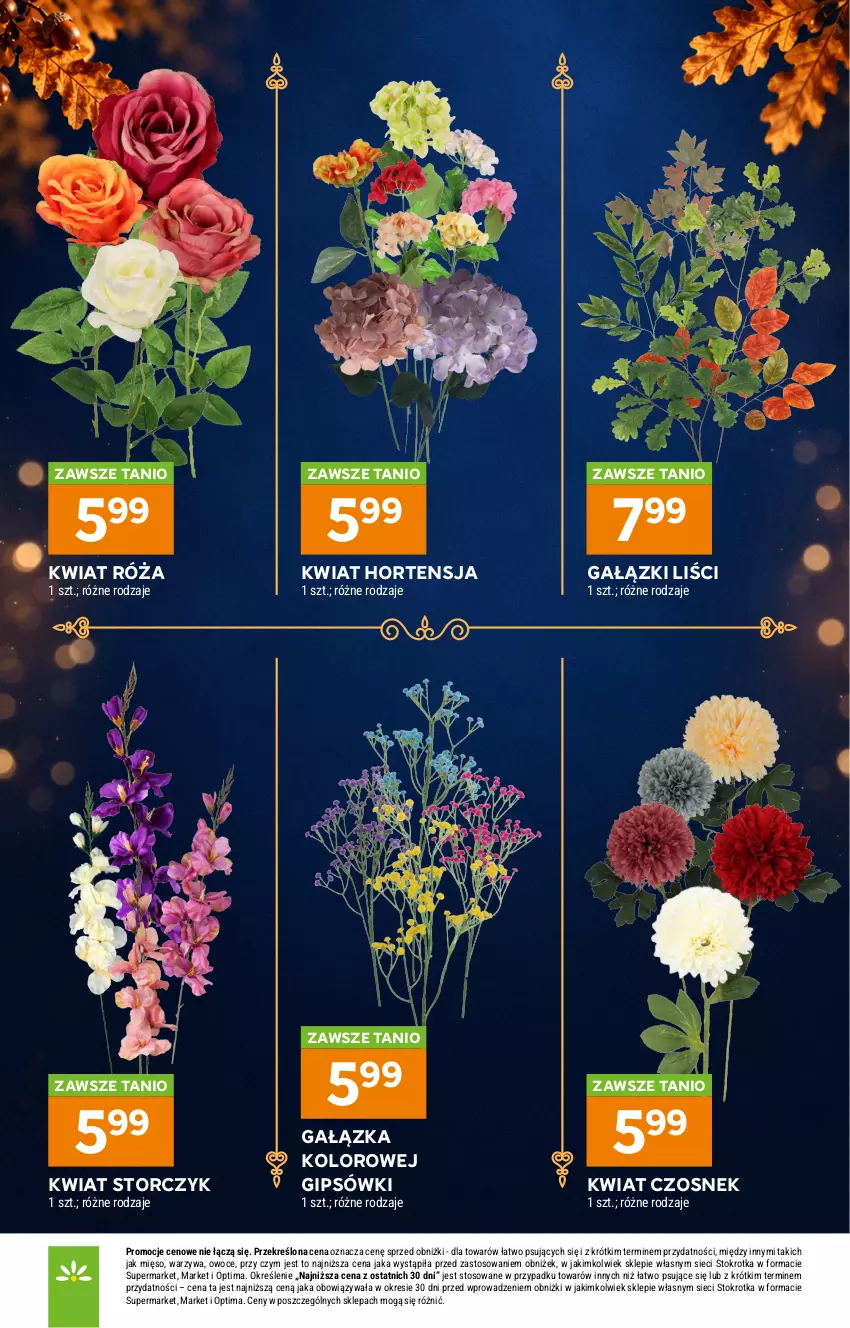 Gazetka promocyjna Stokrotka - Katalog Znicze - ważna 01.10 do 04.11.2026 - strona 13 - produkty: Czosnek, Mięso, Optima, Owoce, Róża, Storczyk, Warzywa