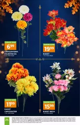 Gazetka promocyjna Stokrotka - Katalog Znicze - Gazetka - ważna od 04.11 do 04.11.2026 - strona 14 - produkty: Warzywa, Chryzantema, Optima, Bukiet, Owoce, Mięso