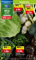 Gazetka promocyjna Lidl - GAZETKA - Gazetka - ważna od 06.03 do 06.03.2024 - strona 18 - produkty: Cebula, Warzywa, Ser, Rukola, Chleb, Pomidory