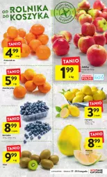 Gazetka promocyjna Intermarche - Gazetka Intermarche - Gazetka - ważna od 23.11 do 23.11.2022 - strona 17 - produkty: Top, Borówka, Kiwi, Pomarańcze, Siatka, Pomelo, Jabłka