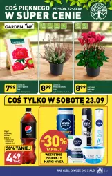 Gazetka promocyjna Aldi - Pełna oferta - Gazetka - ważna od 23.09 do 23.09.2023 - strona 23 - produkty: Piwo, Sok, Cyklamen, Pepsi max, Mirinda, Pepsi, Nivea