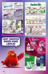 Gazetka promocyjna Auchan - 30 Lat Hipermarket Auchan Znane marki - Gazetka - ważna od 09.09 do 09.09.2026 - strona 26 - produkty: Ludwik, Domestos, Cif, Mleczko, Kostka do wc, Kolorado, Zmywarki