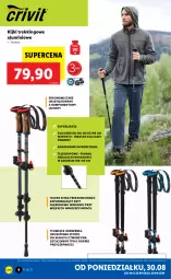 Gazetka promocyjna Lidl - GAZETKA - Gazetka - ważna od 04.09 do 04.09.2021 - strona 4 - produkty: Teleskop, Top, Sok, Talerz, Fa