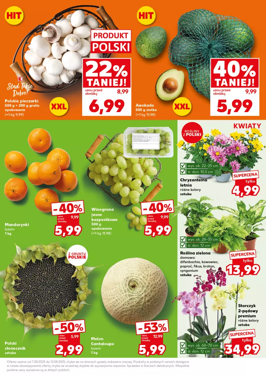 Gazetka promocyjna Kaufland - Mocny Start - ważna 11.08 do 12.08.2025 - strona 21 - produkty: Chia, Chryzantema, Gra, Grunt, LG, NBA, Piec, Siatka, Storczyk