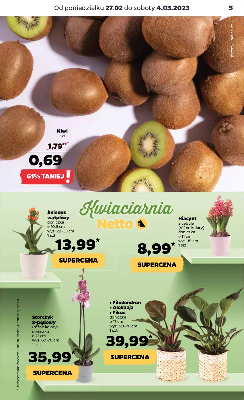 Gazetka promocyjna Netto - Artykuły spożywcze - ważna 27.02 do 04.03.2023 - strona 5 - produkty: Hiacynt, Kiwi, Storczyk