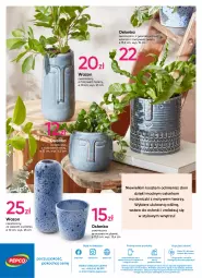 Gazetka promocyjna Pepco - Cardio Bunny - Gazetka - ważna od 25.01 do 25.01.2023 - strona 16 - produkty: Koc, Gra, Telefon, Kosz, Wazon, Biuro, Osłonka