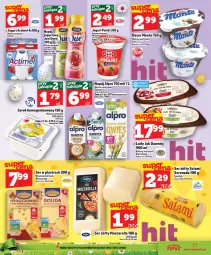 Gazetka promocyjna Topaz - Gazetka - Gazetka - ważna od 01.04 do 01.04.2026 - strona 17 - produkty: Mozzarella, Ser, Włoszczowski, Salami, Danone, Jogurt, Cars, Serek homogenizowany, Lody, Serek, Gouda, Alpro, Napój