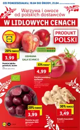 Gazetka promocyjna Lidl - GAZETKA - Gazetka - ważna od 21.04 do 21.04.2021 - strona 6 - produkty: Warzywa, Por, Warzywa i owoce, Buraki, Owoce, Gala, Pomidory, Jabłka, Boczniak