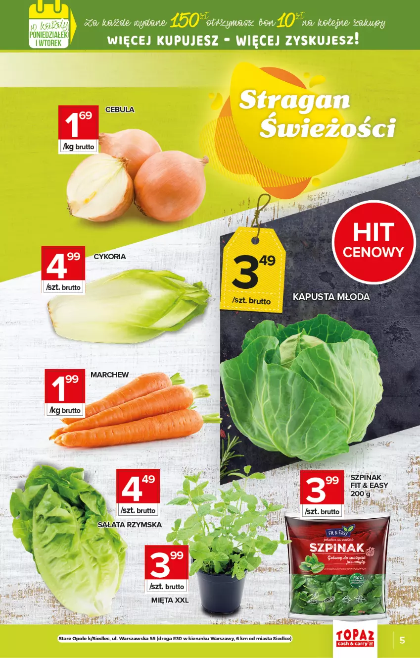 Gazetka promocyjna Topaz - Gazetka - ważna 08.04 do 14.04.2021 - strona 5 - produkty: Cebula, Mięta, Sałat, Szpinak