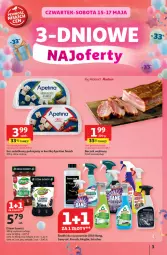 Gazetka promocyjna Auchan - Te URODZINY są NAJ Hipermarket - Gazetka - ważna od 21.05 do 21.05.2025 - strona 3 - produkty: Frosch, Ser, Por, Cillit Bang, Dżem, Sałat, Boczek, Sanytol
