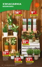 Gazetka promocyjna Biedronka - Gazetka - Biedronka.pl - Gazetka - ważna od 17.05 do 17.05.2023 - strona 16 - produkty: Hama, NBA, Chia, Wazon, , Mule, Oreo, Fa