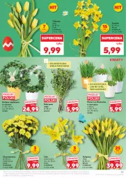 Gazetka promocyjna Kaufland - Gazetka tygodnia - Gazetka - ważna od 08.04 do 08.04.2026 - strona 23 - produkty: Tulipan, Rzeżucha, Stół, Kosz