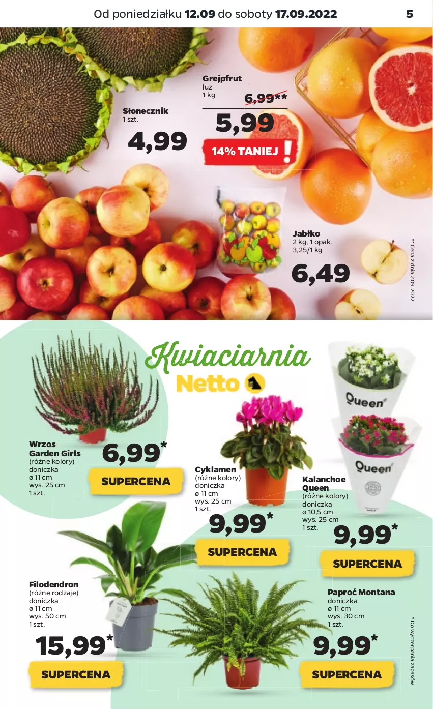 Gazetka promocyjna Netto - Artykuły spożywcze - ważna 12.09 do 17.09.2022 - strona 5 - produkty: Cyklamen, Grejpfrut, Kalanchoe