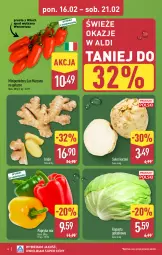 Gazetka promocyjna Aldi - Pełna oferta - Gazetka - ważna od 21.02 do 21.02.2026 - strona 4 - produkty: Seler korzeń, Papryka, Pomidory, Imbir