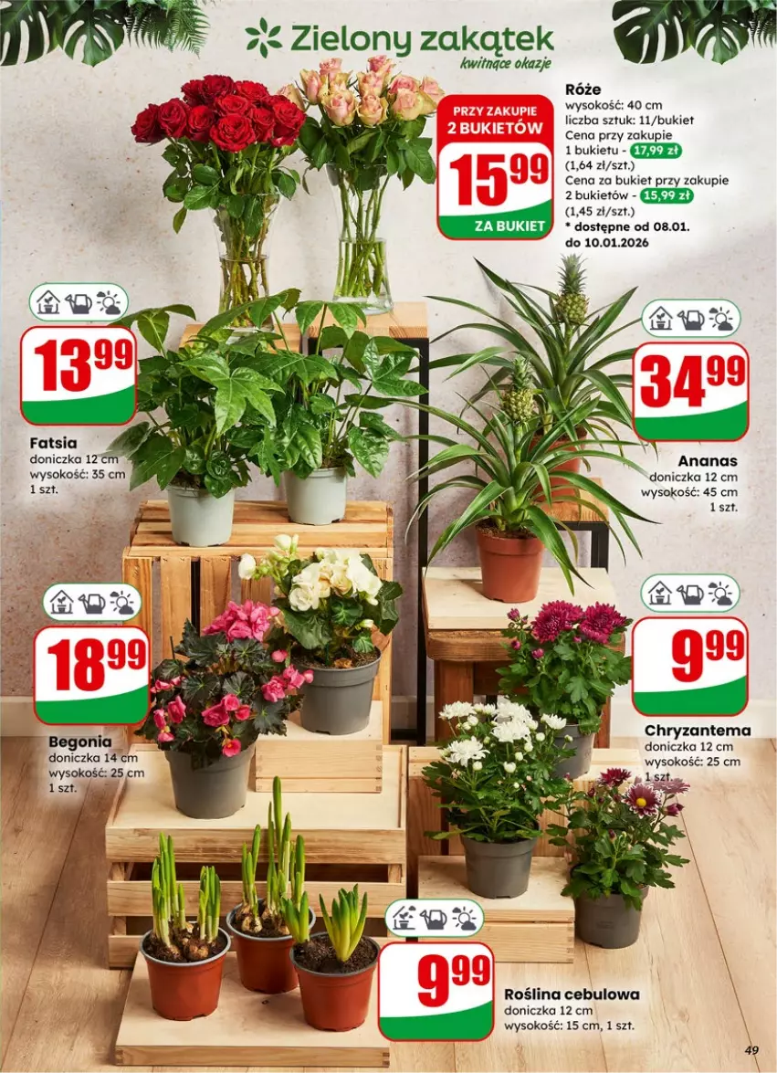 Gazetka promocyjna Dino - Gazetka 02 / 2026 - ważna 07.01 do 13.01.2026 - strona 49 - produkty: Ananas, Bukiet, Chryzantema, Fa, Sok