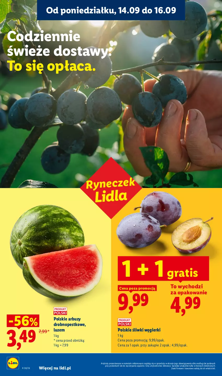 Gazetka promocyjna Lidl - Gazetka ważna od 14.09 do 16.09 - ważna 14.09 do 16.09.2026 - strona 28 - produkty: Arbuz, Gra