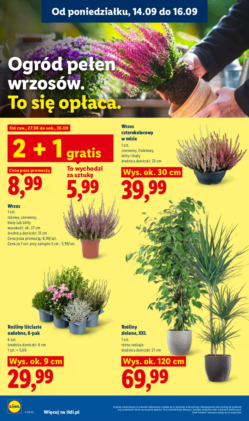 Gazetka promocyjna Lidl - Gazetka ważna od 14.09 do 16.09 - ważna 14.09 do 16.09.2026 - strona 78 - produkty: Gra, Ogród, Sok