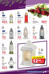 Gazetka promocyjna Makro - Najlepsze oferty - Gazetka - ważna od 31.10 do 31.10.2022 - strona 27 - produkty: Cebula, Stek, Pasek, Znicz
