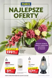 Gazetka promocyjna Makro - Najlepsze oferty - Gazetka - ważna od 31.10 do 31.10.2022 - strona 28 - produkty: Tulipan, Bols, Bolsius, Znicz