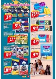 Gazetka promocyjna Prim Market - Gazetka - ważna od 21.02 do 21.02.2024 - strona 15 - produkty: Kurczak, Marchewka, Mop, Królik, Wiadro