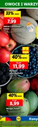 Gazetka promocyjna Lidl - GAZETKA - Gazetka - ważna od 25.05 do 25.05.2024 - strona 32 - produkty: Owoce, Melon, Fa