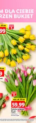 Gazetka promocyjna Lidl - GAZETKA - Gazetka - ważna od 25.05 do 25.05.2024 - strona 5 - produkty: Tulipan, Bukiet