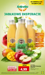 Gazetka promocyjna Lidl - GAZETKA - Gazetka - ważna od 25.05 do 25.05.2024 - strona 52 - produkty: Sok, Gres, Mango, Mięta