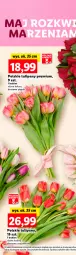 Gazetka promocyjna Lidl - GAZETKA - Gazetka - ważna od 25.05 do 25.05.2024 - strona 6 - produkty: Tulipan, Bukiet