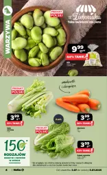 Gazetka promocyjna Netto - Od Czwartku - Gazetka - ważna od 05.07 do 05.07.2025 - strona 4 - produkty: Warzywa, Sałat, Seler naciowy