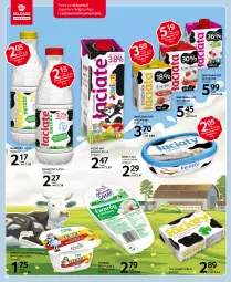 Gazetka promocyjna Selgros - Oferta spożywcza - Gazetka - ważna od 05.04 do 05.04.2021 - strona 16 - produkty: Ser, Twaróg, Serek homogenizowany, Serek, Mleko, LG