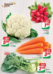Gazetka promocyjna Dino - Gazetka 24 / 2024 - Gazetka - ważna od 18.06 do 18.06.2024 - strona 34 - produkty: Kalafior, Rzodkiewka