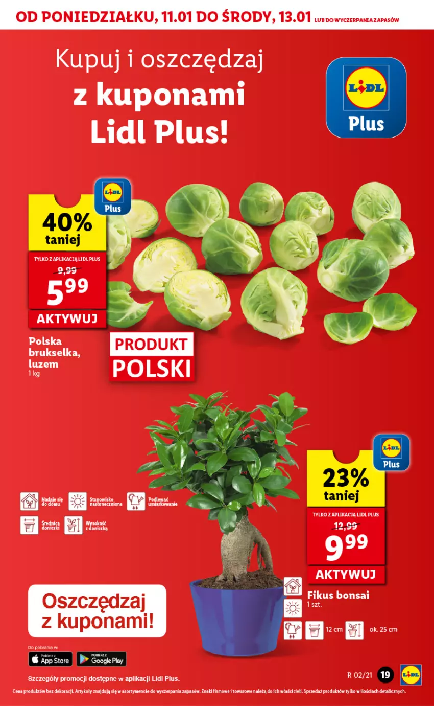 Gazetka promocyjna Lidl - GAZETKA - ważna 11.01 do 13.01.2021 - strona 19