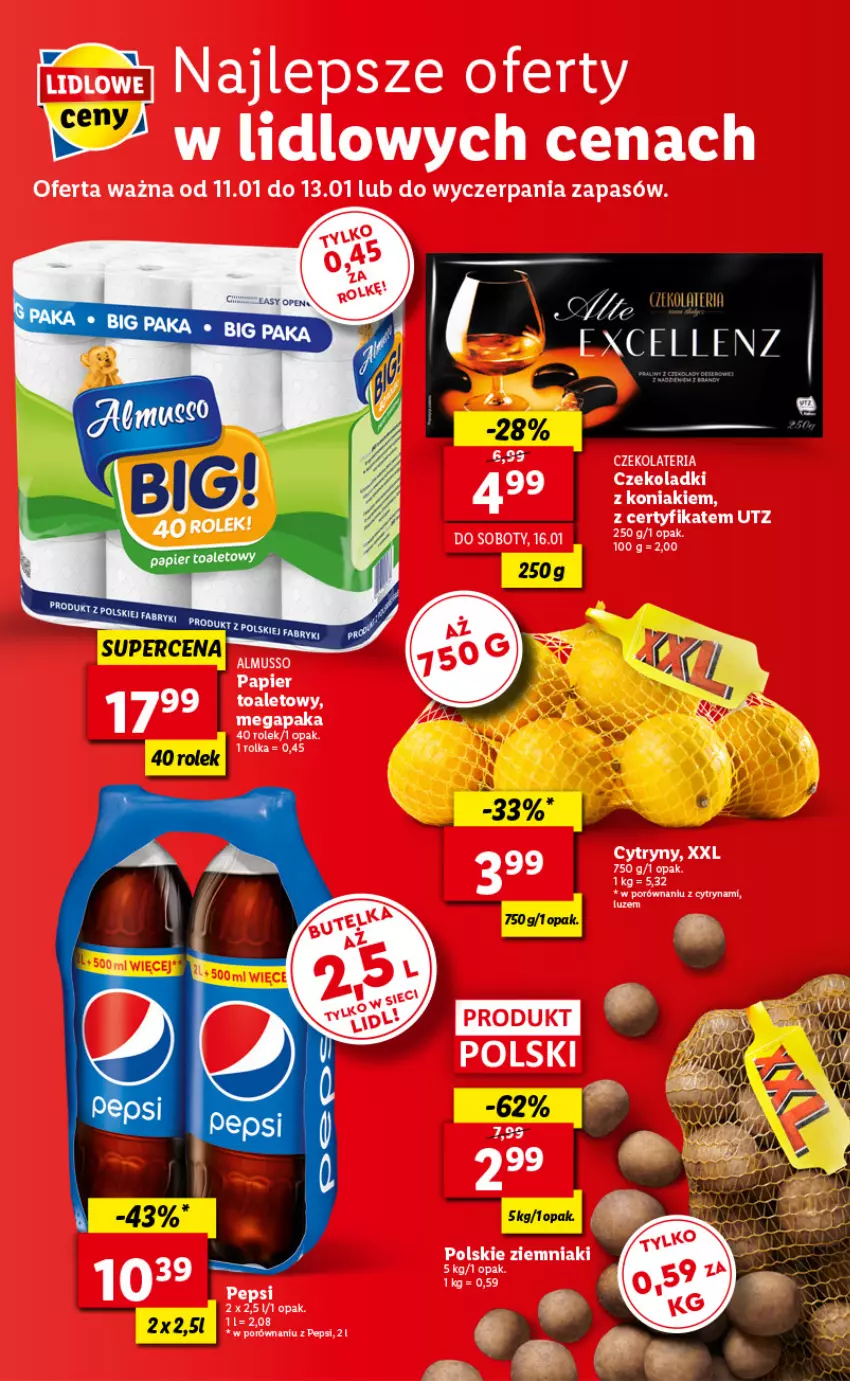 Gazetka promocyjna Lidl - GAZETKA - ważna 11.01 do 13.01.2021 - strona 48