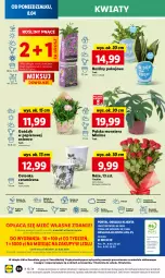 Gazetka promocyjna Lidl - GAZETKA - Gazetka - ważna od 10.04 do 10.04.2024 - strona 56 - produkty: Sok, Por, Gra, Papier, Szal, Cień, Kosz, O nas, Tera, Mola, Bukiet, Osłonka