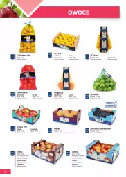 Gazetka promocyjna Makro - [Oferta specjalna] Katalog produktowy Marki MAKRO - Gazetka - ważna od 28.02 do 28.02.2022 - strona 10 - produkty: Piec, Sok, Ser, Cytryny, Pomarańcze, Siatka, Sałat, Owoce, Deser, Mango, Melon, Jabłka, Grejpfrut