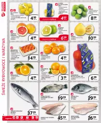 Gazetka promocyjna Selgros - Extra Oferta - Gazetka - ważna od 30.11 do 30.11.2021 - strona 2 - produkty: Mandarynki, Warzywa, Sok, Pstrąg tęczowy, Cytryny, Pomarańcze, Pomelo, Sandacz filet, Pstrąg, Owoce, Dorsz, Sandacz, Grejpfrut