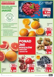 Gazetka promocyjna Kaufland - Gazetka - ważna od 20.11 do 20.11.2024 - strona 2 - produkty: Gra, Granat, Kiwi, Pomarańcze, Grejpfrut