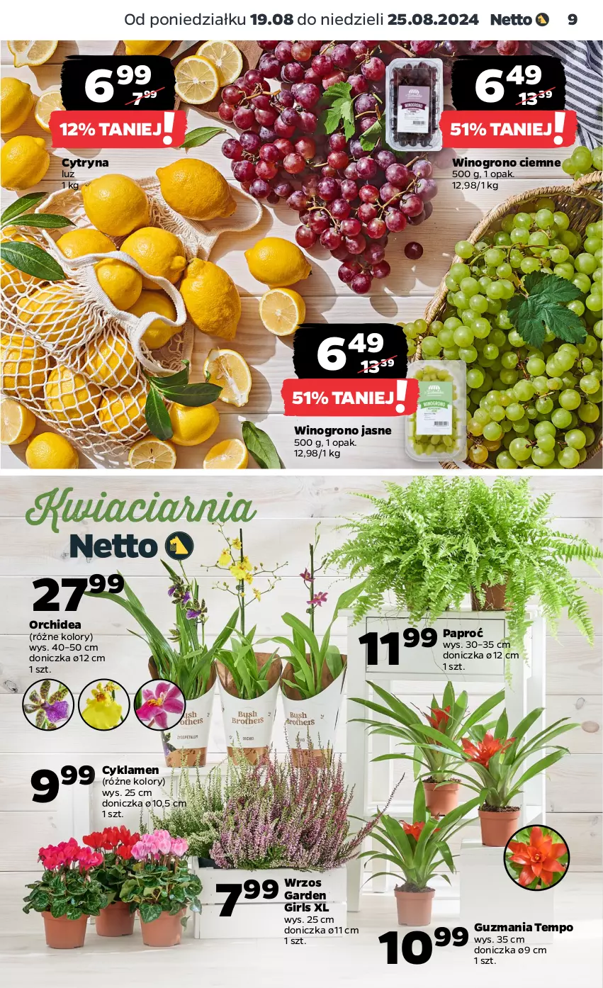 Gazetka promocyjna Netto - Netto Gazetka Food 34/24A - ważna 19.08 do 25.08.2024 - strona 9 - produkty: Cyklamen, Wino