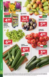 Gazetka promocyjna Stokrotka - Supermarket - Gazetka - ważna od 10.09 do 10.09.2025 - strona 8 - produkty: Warzywa, Gra, Gruszki, Winogrona, Owoce, Wino, Pomidory, Mięso, Fa