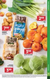 Gazetka promocyjna Stokrotka - Supermarket - Gazetka - ważna od 10.09 do 10.09.2025 - strona 9 - produkty: Warzywa, Por, Ziemniaki, Siatka, Owoce, Mięso
