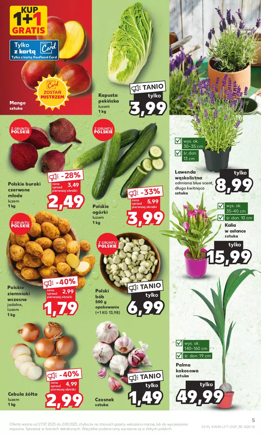 Gazetka promocyjna Kaufland - Gazetka tygodnia - ważna 27.07 do 02.08.2023 - strona 5 - produkty: Buraki, Cebula, Czosnek, Gra, Grunt, Kokos, Mango, Palma, Ziemniaki