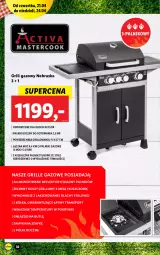 Gazetka promocyjna Lidl - GAZETKA - Gazetka - ważna od 24.04 do 24.04.2022 - strona 34 - produkty: Por, Tran, Sport, Grill, Grill gazowy, Lakier