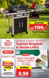 Gazetka promocyjna Lidl - GAZETKA - Gazetka - ważna od 24.04 do 24.04.2022 - strona 46 - produkty: Praliny, Grill, Grill gazowy, LG