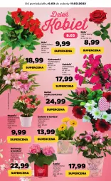 Gazetka promocyjna Netto - Artykuły spożywcze - Gazetka - ważna od 11.03 do 11.03.2023 - strona 5 - produkty: Gerber, Róża, Bukiet, Osłonka