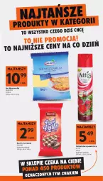 Gazetka promocyjna Intermarche - Gazetka promocyjna - Gazetka - ważna od 02.09 do 02.09.2026 - strona 9 - produkty: Mozzarella, Ser, Odświeżacz powietrza, Rurki
